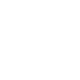 An icon depicting a speech bubble